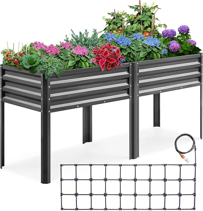 KING BIRD Raised Garden Bed by KINGBIRD