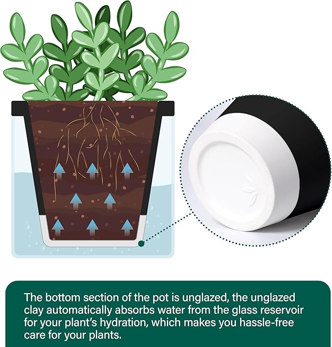 D'vine Dev 4 Inch Design Self Watering Planter - Image 6