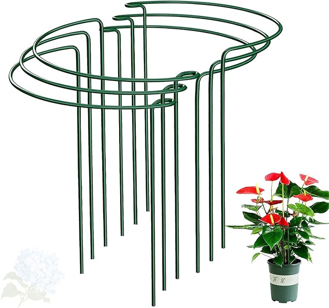 Half Round Snake Plant Support Stakes, Plant Ring by WooWellGoGoGoProducts