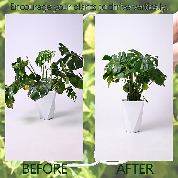 White Monstera Plant Stem Support - Image 3