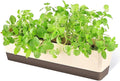 GREANER Window Boxes, 1 Pack 16 x3.8 Inch Indoor Rectangle Planter, Herb by GREANER