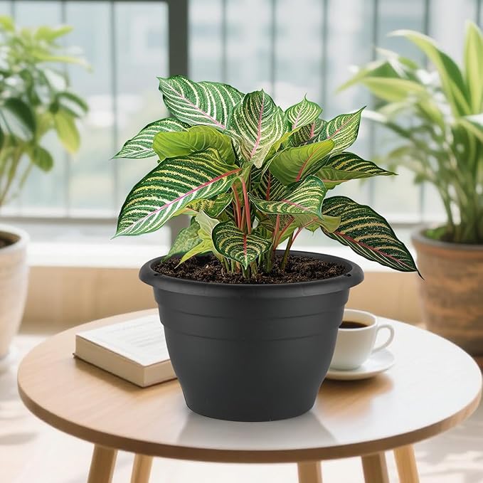5 Pack 10 Inch Plant Pots Plastic Planters - Image 7