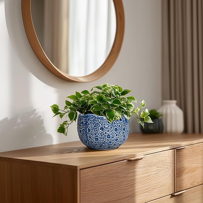 Orchid Pot - 6 Inch Ceramic Plant Pot - Image 7