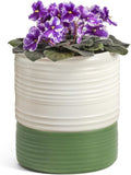 Self Watering Pots for Indoor Plants, 6 Inch Ceramic Self Watering Plant Pot by FayoulasGarden