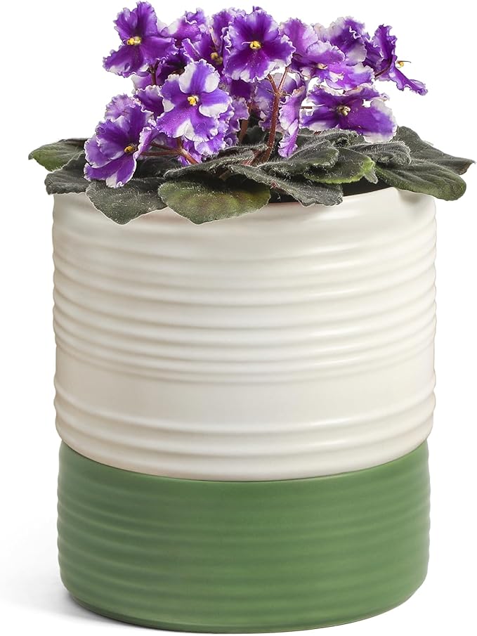 Self Watering Pots for Indoor Plants, 6 Inch Ceramic Self Watering Plant Pot by FayoulasGarden