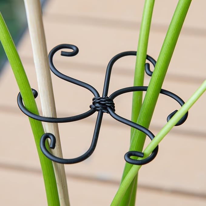 Monstera Plant Stem Support Set - Image 5
