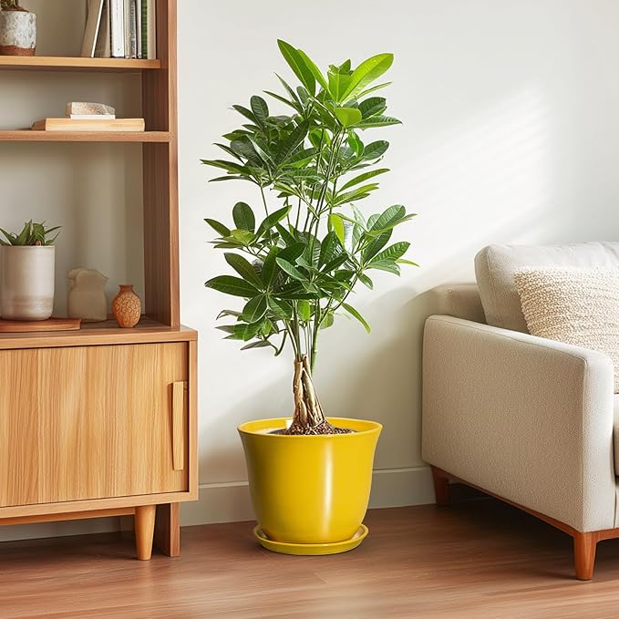 Ceramic Planter - Image 4