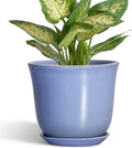 Ceramic Plant Pots by SUNPOTFOR