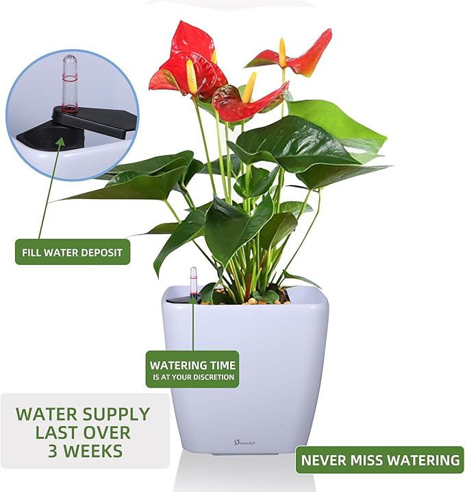 Dexceder 11x10 Self Watering Planter Indoor Outdoor, Inner Mat Design, - Image 5