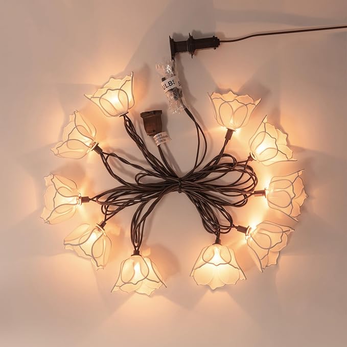Decorative String Lights Plug in - Image 9