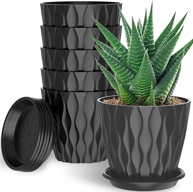 6 Pack 6 Inch Indoor Plant Pots by Unknown