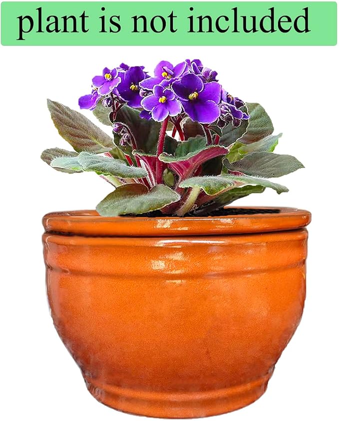 African Violet Pots Self Watering Round Ceramic Violet Pot - Image 6