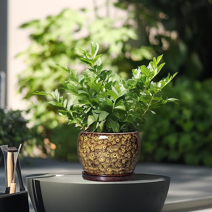 SQOWL 6 Inch Plant Pot - Image 4