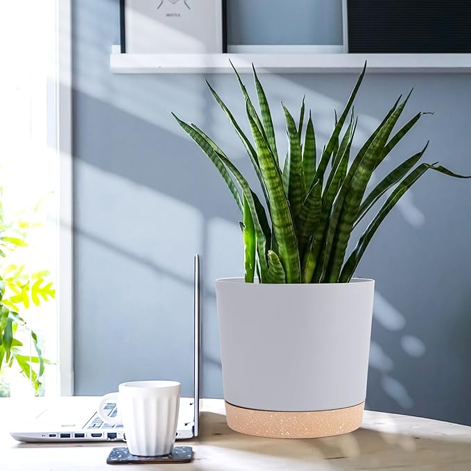 QCQHDU 6.5 inch Plant Pot, 2 Pack Planters - Image 5