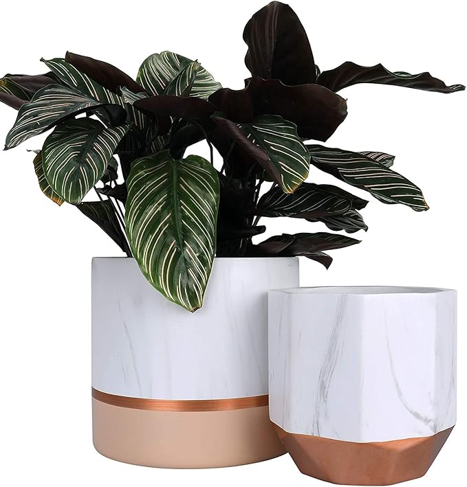 LA JOLIE MUSE White Ceramic Flower Pots by LaJol%C3%ADeMuse
