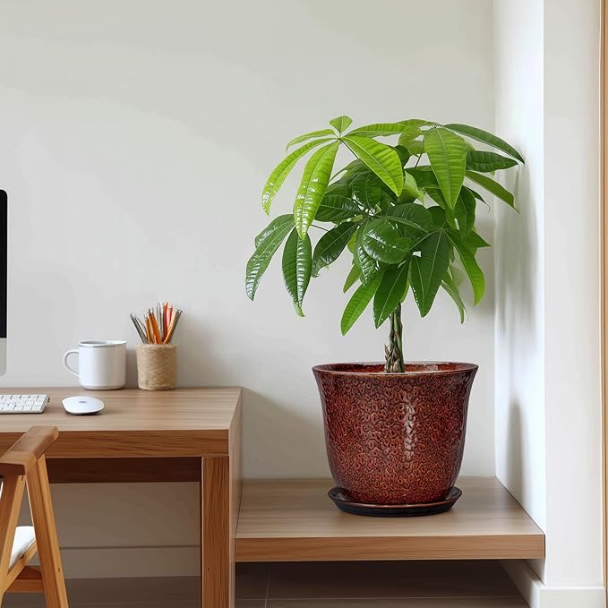 10 Inch Plant Pot - Image 7