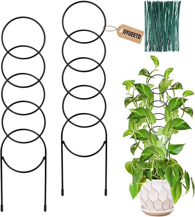 17.5 Inch Plant Trellis Indoor for Climbing Plants, Metal Trellis, Small Garden by OYOEETD