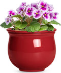 Ceramic Self Watering Planter, 6 Inch African Violet Pots by Teagas