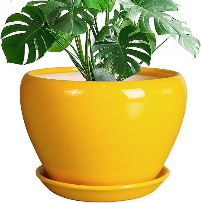 Ceramic Planter by Ceramicfor