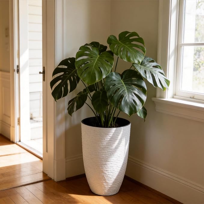 Worth Garden 2-Pack 21" H. White Tall Planters - Image 4