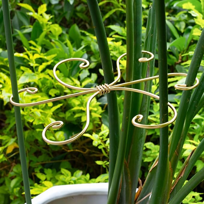 Monstera Plant Stem Support Set of 5 - Image 6