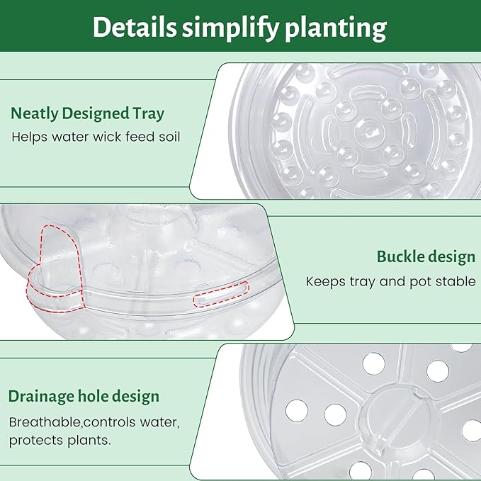 12 Pack 6.5 Inch Clear Self Watering Plant Pots - Image 5