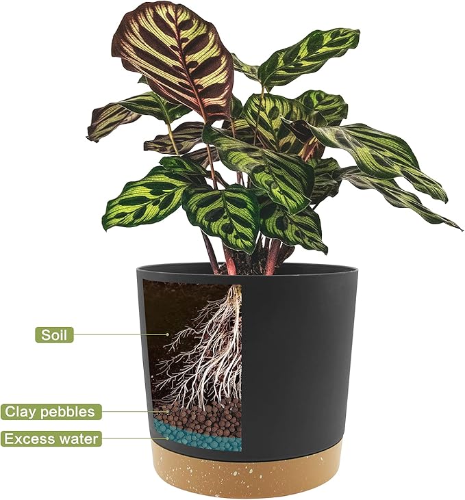 QCQHDU 12 inch Plant Pot, 2 Pack Planters - Image 3