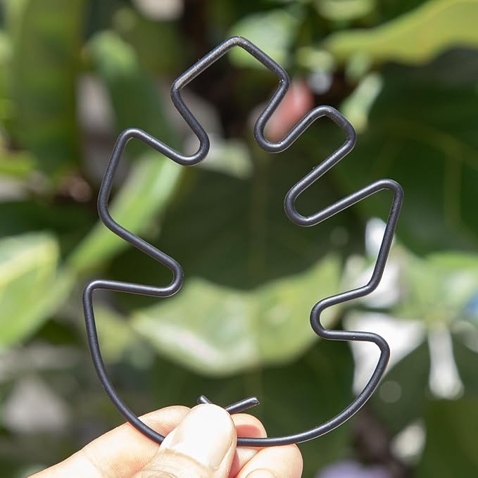 Monstera Plant Stem Support Set - Image 7