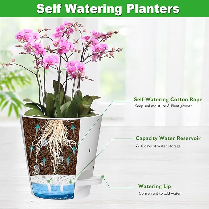 Orchid Pots with Holes, 6 Inch Self Watering Orchid Pot 2 Pack Plastic Plant - Image 3