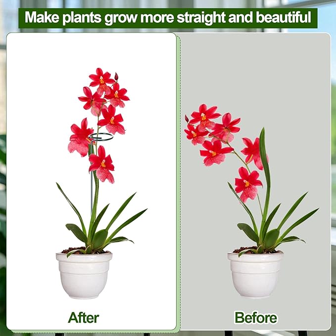 Mwellewm 6 Sets Plant Stakes 12/25/36 Inch Adjustable Plant Support Stakes Tall - Image 2