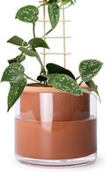 Phoenix Vine 6 Inch Self Watering Plants Pot, Design Terracotta Pot by Phoenix+Vine