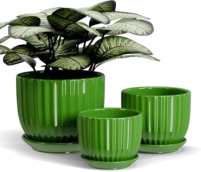 Ton Sin Ceramic Plant Pots, Indoor Planters by TonSin