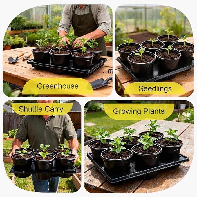 6 Inch Plastic Plant Pots 30 Pack and 6 Cell Nursery Pots Trays 5 Pack - Image 7