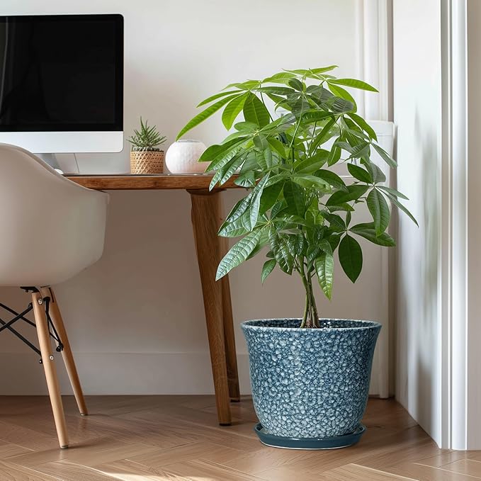 Ceramic Plant Pots - Image 3