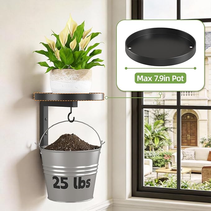 iDavosic.ly Wall Plant Holder Set of 2 - Image 5