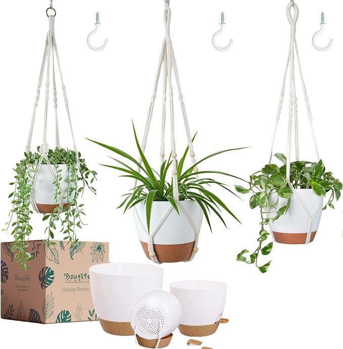 Set of 3 Hanging Planters for Indoor Plants by Bouqlife