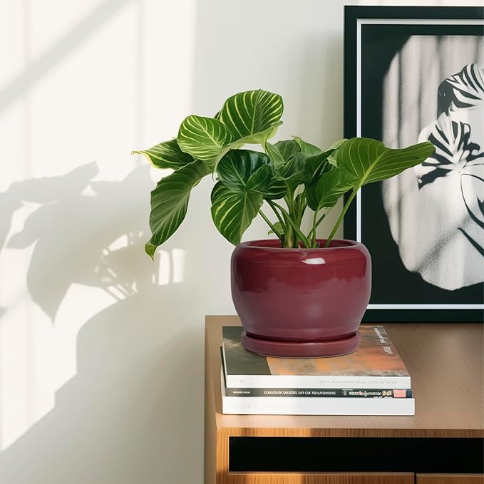 SQOWL 6 Inch Plant Pot - Image 6