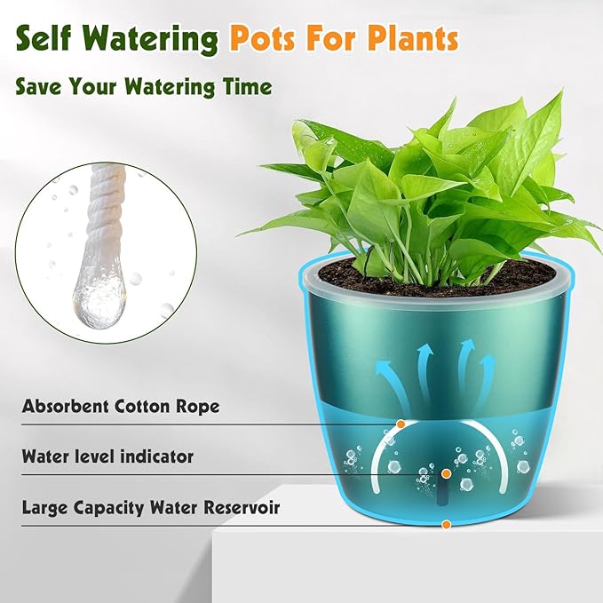 Self Watering Pots for Indoor Plants, Small African Violet Pots - Image 2