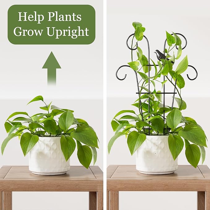 Indoor Plant Trellis for Climbing Plants, Stackable Garden Trellis for Potted - Image 3