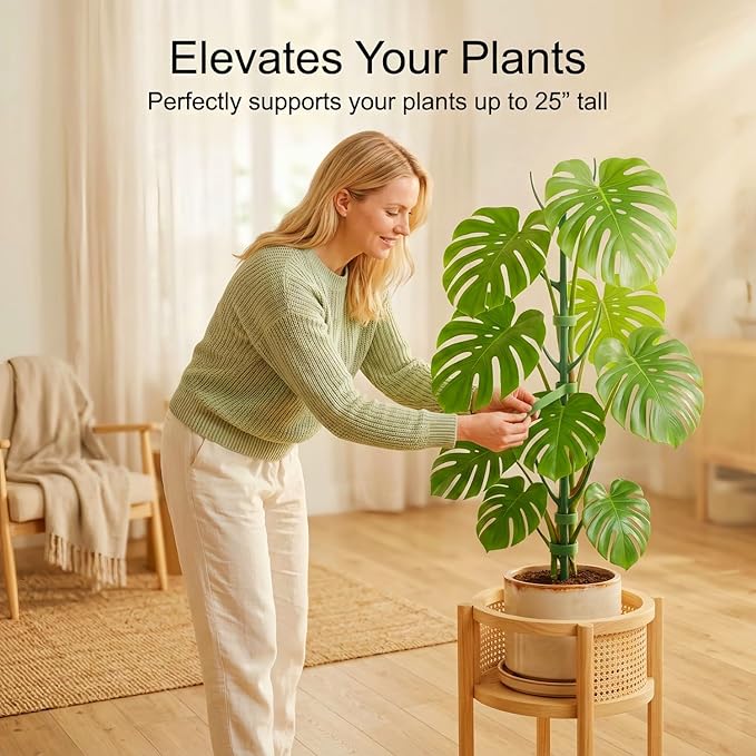 20-Pack Monstera Plant Support Stakes - Image 3