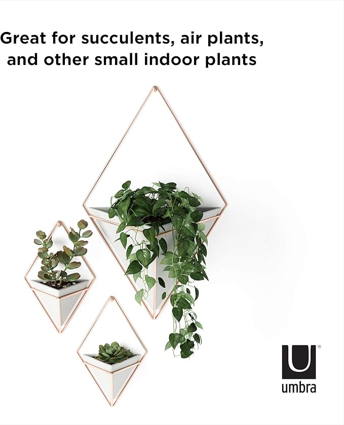 Umbra Trigg Hanging Planter Vase Wall Decor, Faux Plants, and More - Image 9