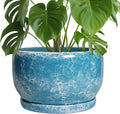 SQOWL Ceramic Planters by SQOWL