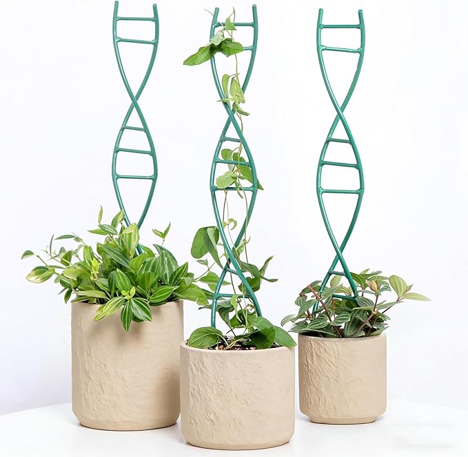 Indoor Plant Trellis for Potted Plants by Yohsnor