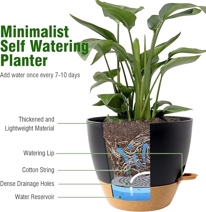 12/10/9 inch Large Self Watering Pots, Plant Pots - Image 5