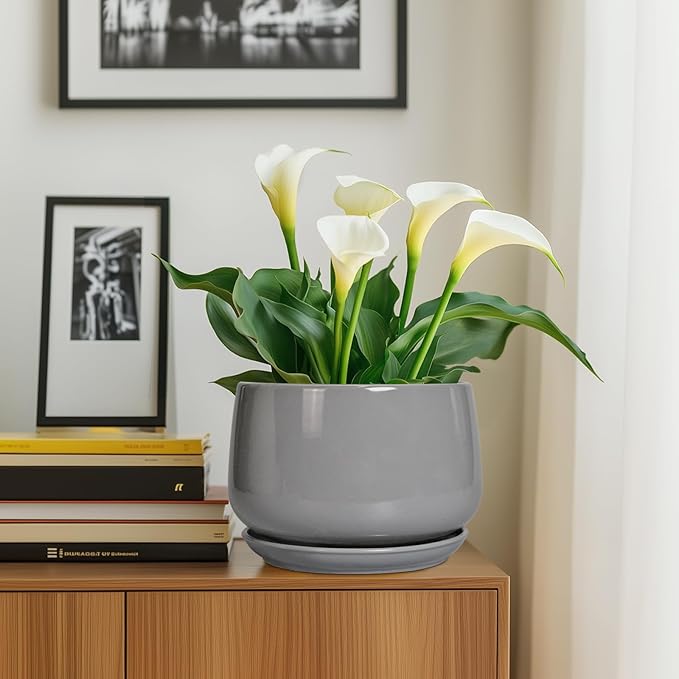 G EPGardening Ceramic Plant Pots - Image 5