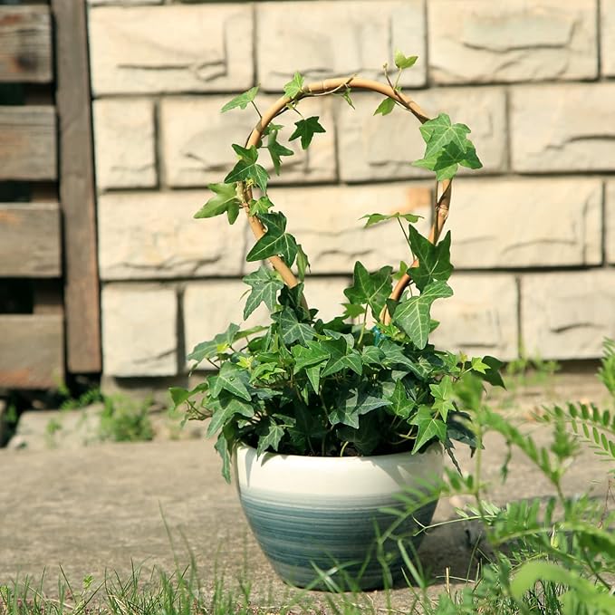 3Pack Bamboo Trellis 16 Inch Round Shaped Small Plant Trellis - Image 5