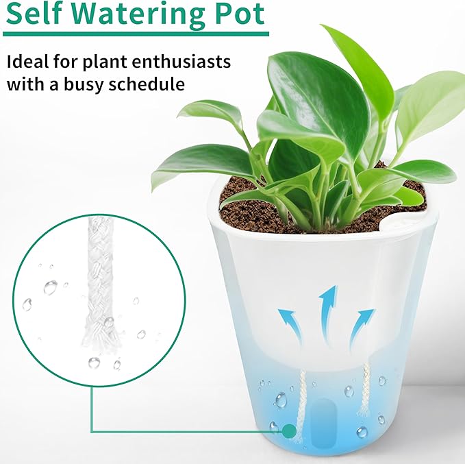 3" Self Watering Pots - Image 4
