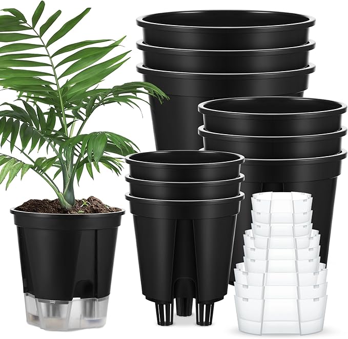 Self Watering Pots for Indoor Plants by Wonderjune