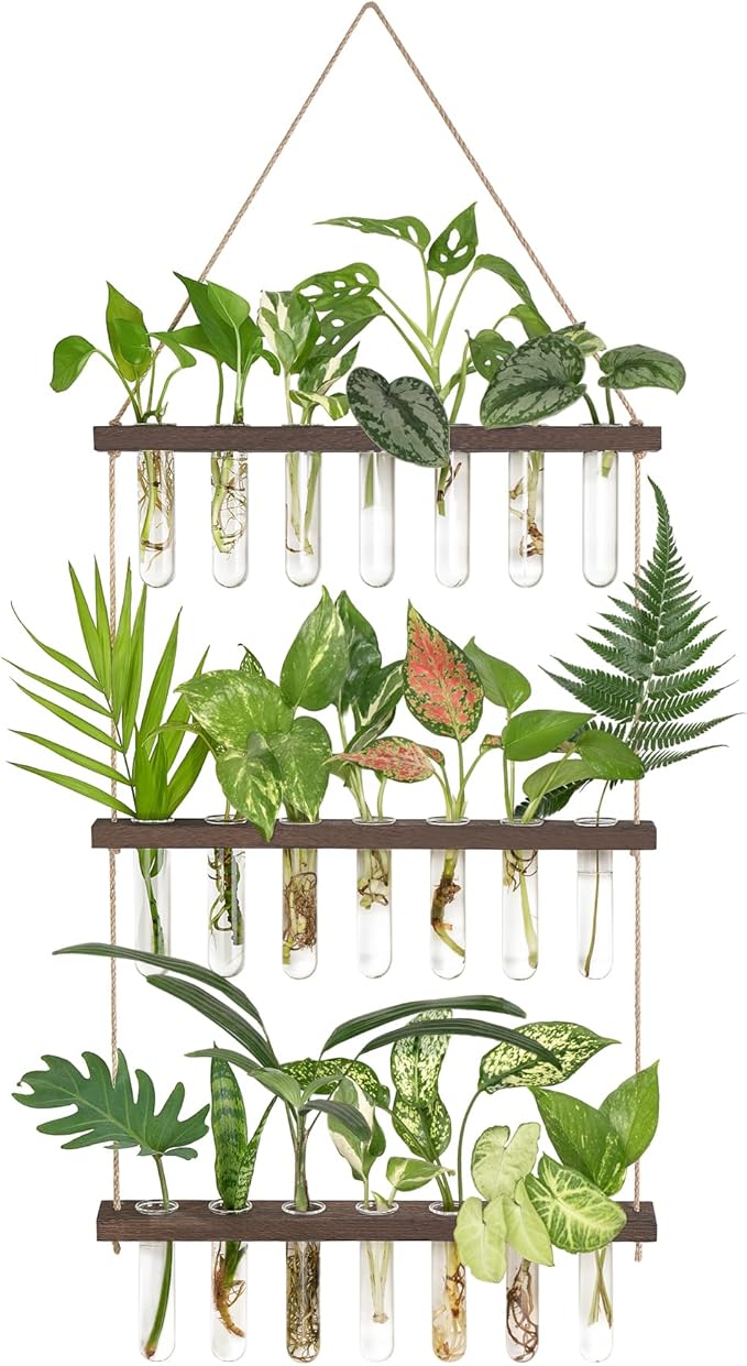 Mkono Plant Propagation Tubes, 3 Tiered Wall Hanging Terrarium by Mkono