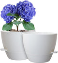 10 inch Self Watering Pots, 2 Pack Plastic Planters by WSMKSZ